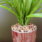 Artificial Grass Plant Planter Ceramic & Metal Stand Botanik-1