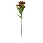 55cm Craspedia Stem Red Artificial-1