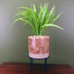 Artificial Grass Plant Planter Ceramic & Metal Stand Botanik-0
