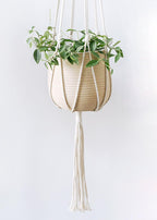 Macrame Plant Hangers - Elegant Indoor and Outdoor Hanging Planter Holders, Cotton Rope, 6-Leg Design for Enhanced Stability, 40 Inches, Set of 2
