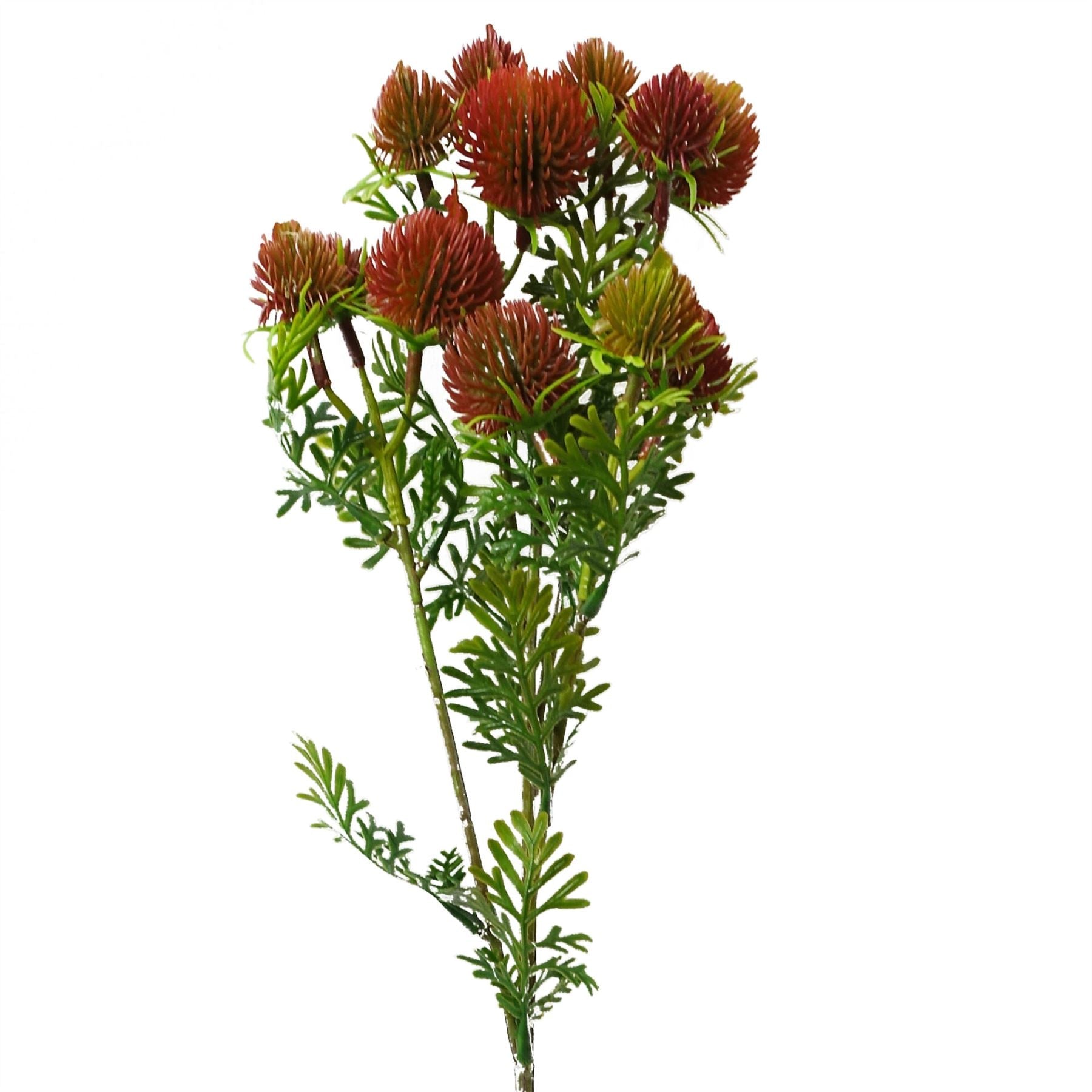 55cm Craspedia Stem Red Artificial-0