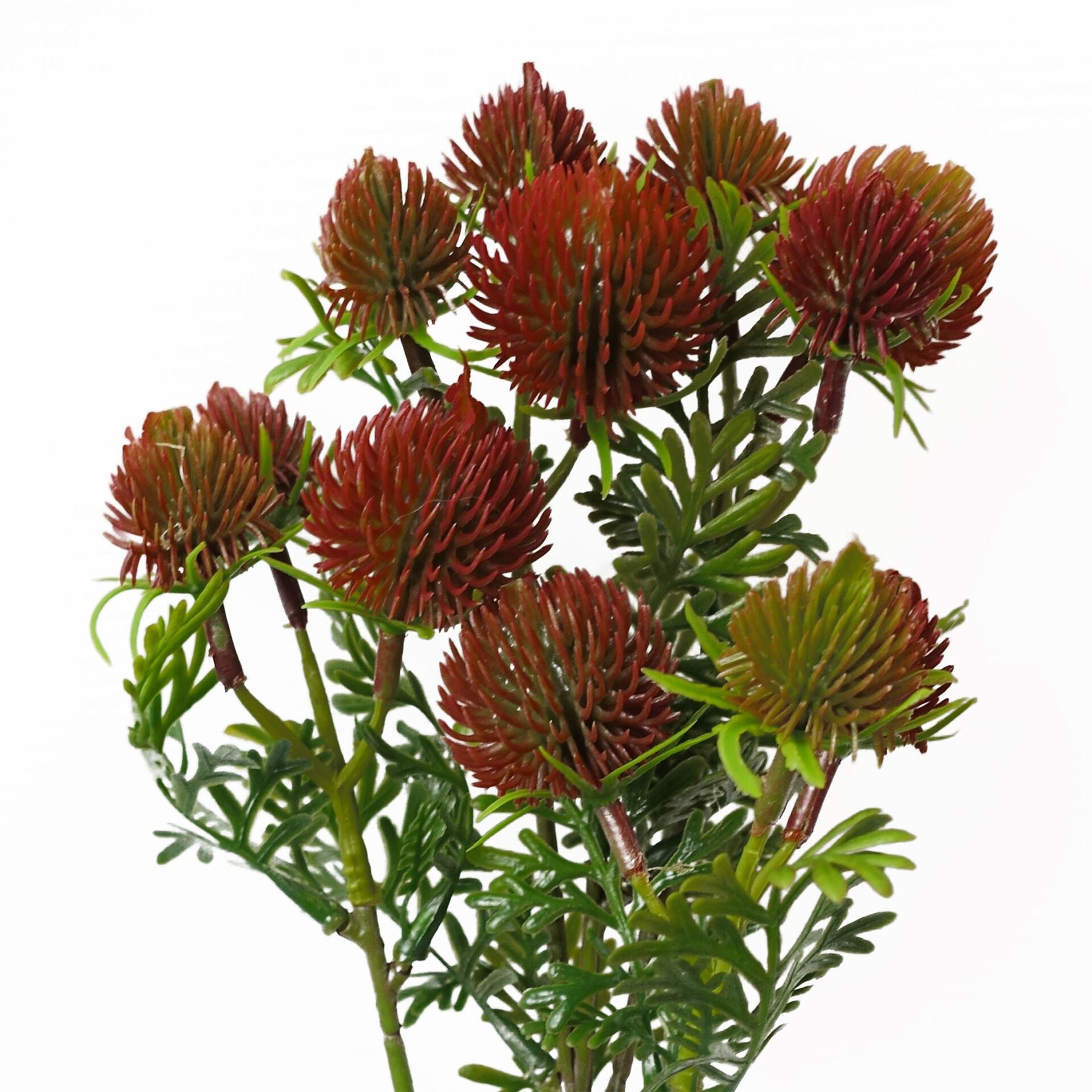 55cm Craspedia Stem Red Artificial-2