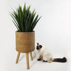 Rattan Effect Composite Planter-0